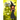 Broom to Be