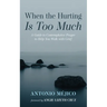 When the Hurting Is Too Much: A Guide to Contemplative Prayer to Help You Walk with Grief