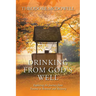 Drinking from God's Well: Exploring the Journey from Trauma to Renewal and Recovery