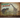 Dinosaur Archives