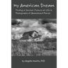 My American Dream: Finding a Second Chance at Life in Photographs of Abandoned Places