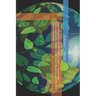 Green Finance Tools: A Practical Guide to Sustainable Investment Instruments, Climate Risk Mitigation, and Blended Finance Strategies