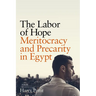 The Labor of Hope: Meritocracy and Precarity in Egypt