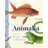 Animalia: Animal Art from the Royal Collection