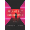 Aflame but Unconsumed