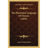 The Illustrated Language Of Flowers (1856)