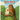 Baby Hawk: A Story of Love and Survival