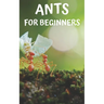 Ants for beginners: Guide to successfully keep ants in an ant farm for novices