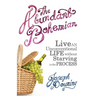 The Abundant Bohemian: How To Live An Unconventional Life Without Starving in the Process