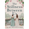 The Stillness Between Us