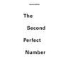 The Second Perfect Number