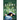 The Story of the Forest