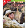 From Grass to Bridge