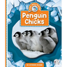 Penguin Chicks