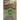 The Journey of Jason the Frog(TM) AI Robot to Rome