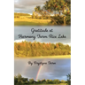 Gratitude at Harmony Farm Rice Lake: Gratitude at Harmony Farm Equineimity