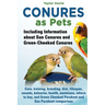 Conures as Pets: Including Information about Sun Conures and Green-Cheeked Conures: Care, training, breeding, diet, lifespan, sounds, b