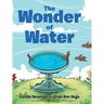 The Wonder of Water