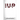Rise Up Champion