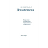The Little Book of Awareness