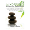 Mindfulness: Mindfulness for beginners: 32 Easy Mindfulness Exercises for Beginners on How to Live Life in the Present Moment, Relieve Stress and Redu