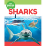 Sharks