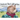 Professor Bear's Adventure