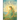 Far Away From Home: The Legend Of Dittany, The God Of Crete