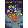 What Fell from the Sky
