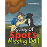 Mystery Of Spot's Missing Ball