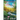 Whispers in the Falls