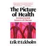 The Picture of Health: Environmental Sources of Disease