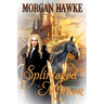 Splintered Mirror