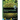 Accumula Student Book 5