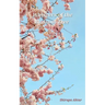 Whispers of The Blossom Tree