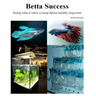 Betta Success: Doing what it takes to keep Bettas healthy long-term