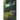 Dark Fire