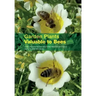 Garden Plants Valuable to Bees