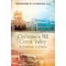 Cincinnati's Mill Creek Valley: A Portrait in Parts