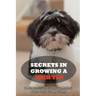 Secrets In Growing A Shih Tzu: Caring, Feeding And Training Your Shih Tzu At Home: What You Will Need To Train Your Shih Tzu