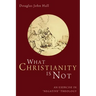 What Christianity Is Not: An Exercise in "Negative" Theology