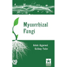 Mycorrhizal Fungi