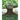 The Wishing Tree