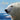 Alone at the Top of the World: An Inuit Folktale