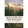 Wild Life on the Rockies