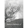 A Bird in the Wood