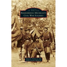 Remembering Michigan's Civil War Soldiers