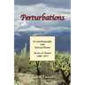 Perturbations