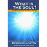 What Is The Soul?: Lingering Question, Eternal Answer