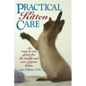 Practical Kitten Care